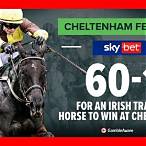 how to bet on cheltenham races